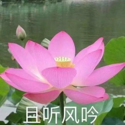 澳门mgm娱乐官网app下载