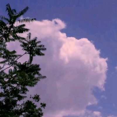 银河棋牌下载手机版